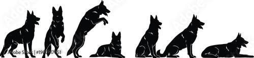 German shepherd dog silhouettes, different poses collection, sitting standing lying jumping, pet training, guard dog, animal vector illustration set