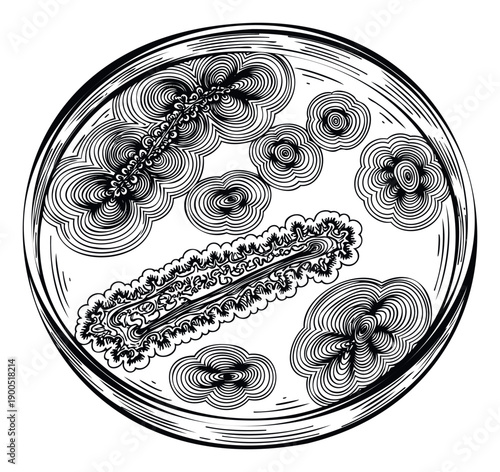 Microscopic abstract organisms growing in a petri dish representing bacterial colonies and cellular structures for science education and biotechnology research