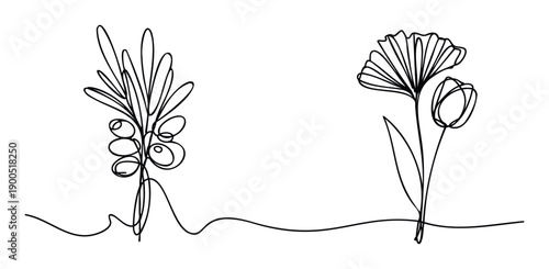 Elegant one line drawing of a botanical composition featuring an olive branch with berries and a decorative stylized flower for natural branding and product packaging