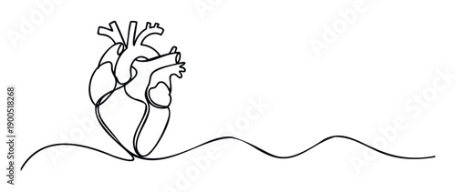 A continuous line drawing of a human heart with a flowing wavy line extending right, ideal for medical, health, wellness, or emotional connection presentations and materials