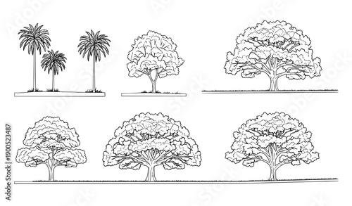 Minimal CAD tree elevation line icons set with tropical and oak trees for architectural drawings