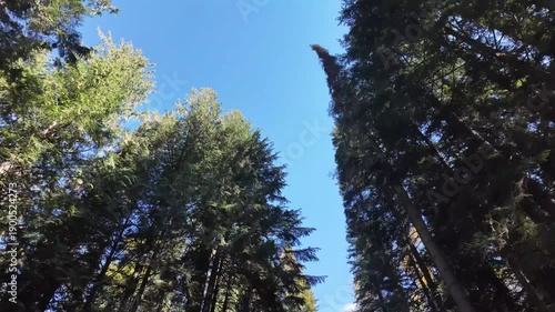 Wallpaper Mural Early fall in the Canadian Rockies Torontodigital.ca