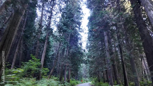 Wallpaper Mural Early fall in the Canadian Rockies Torontodigital.ca