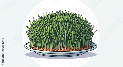 Fresh wheatgrass in a bowl on a white background healthy food concept with green blades and brown seeds