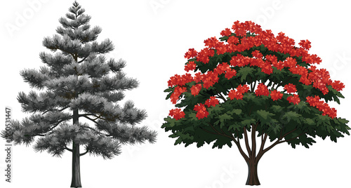 Set of two isolated vector trees featuring a gray coniferous pine evergreen and a lush green deciduous tree with red flowers.