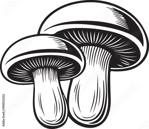 Print Mushroom Illustration Outline Drawing, Two Fungi Caps and Stems, Botanical Art