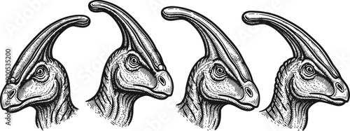 four detailed black and white parasaurolophus dinosaur heads side view illustration