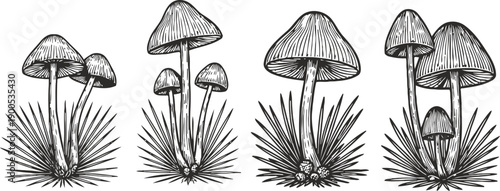 mushrooms growing from grassy ground in detailed black and white ink illustration set