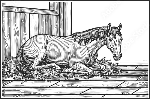 Horse lying down resting on straw bedding inside stable with wooden walls and floor