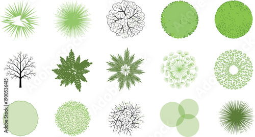 Top view tree illustration set showing diverse foliage patterns, landscape design elements, and aerial vegetation concepts for architecture and planning