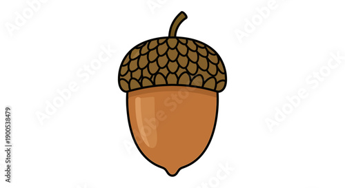 Simple vector illustration of an acorn with detailed cap