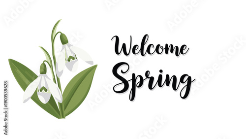 Charming illustration of delicate white snowdrop flowers with vibrant green leaves, accompanied by a welcoming "Welcome Spring" message.