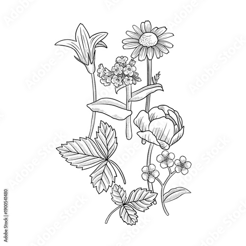 vector drawing flowers, bouquet, vintage style elements isolated at white background, hand drawn illustration