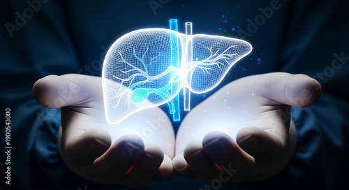 Hands in gloves holding glowing 3D model of human liver Keywords: hands, gloves, holding, liver, human, organ, 3d, model, glowing, digital, futuristic, science, medical, healthcare, anatomy