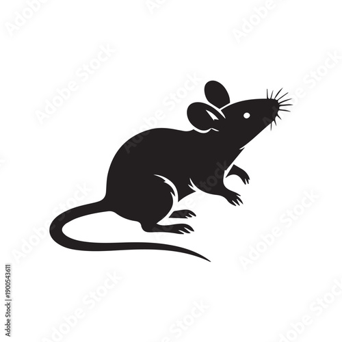 rat vector illustration