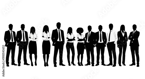 A diverse group of business professionals stand together in a line, silhouetted against a white background.