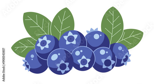 Vector illustration of fresh blueberries with green leaves