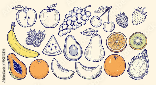 A vibrant collection of hand-drawn illustrations featuring a diverse assortment of fresh fruits, presented in a charming, artistic style.