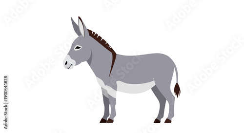 Vector illustration of a gray donkey on a white background