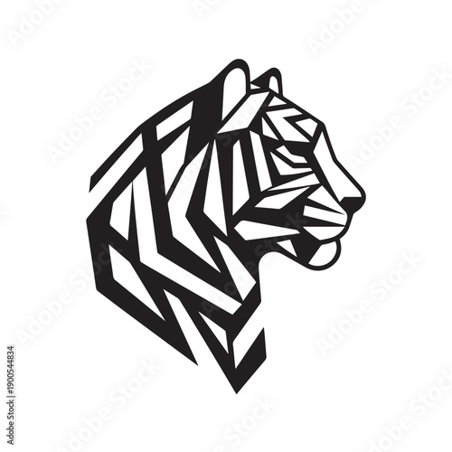 vector tiger on a white background
