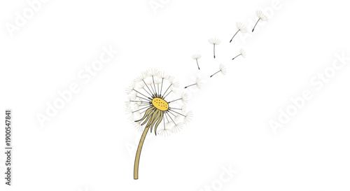 Dandelion with Seeds Blowing in Minimalist White Background