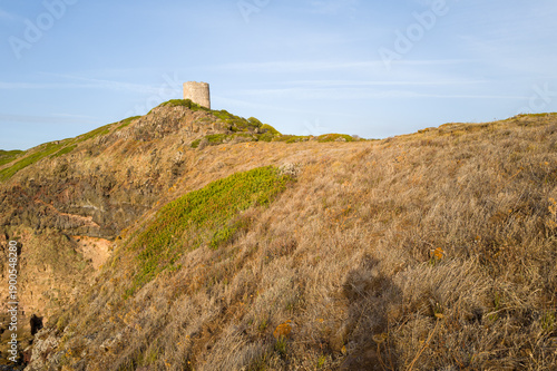 Canvastavla A lone stone watchtower stands atop a rugged, sunlit slope covered with dry grasses and sparse green vegetation at Punta di Foghe, Sardinia