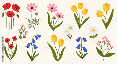 Collection of colorful springtime flowers: tulips, poppies, daisies, bluebells and cosmos