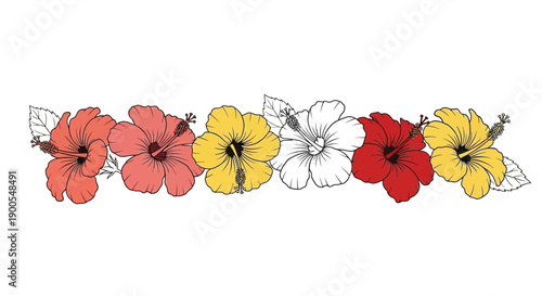 Colorful Hibiscus Flowers Border Design, Tropical Floral Summer Decoration Elements