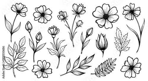 Botanical Sketch Collection: Hand-Drawn Flowers, Buds, and Leaves in Black and White