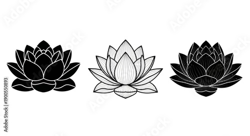 Lotus Flowers Collection: Black Silhouette, Art, and Engraved Styles