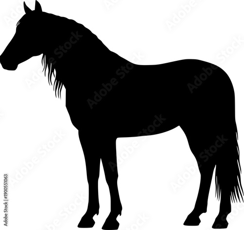 Elegant black silhouette of a powerful standing horse in profile view, design for equestrian club logos, horse breeding farm signage and animal identity branding. Transparent background EPS version.
