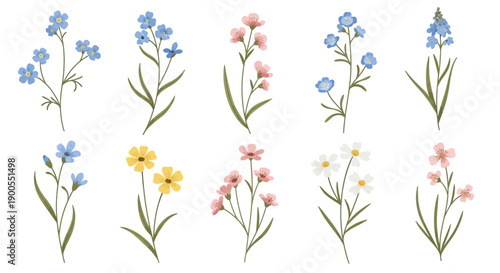 Delicate Watercolor Botanical Illustrations of Assorted Wildflowers on White Background