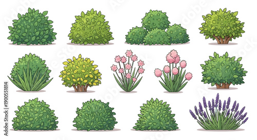 Set of Cartoon Green Bushes, Flowers, and Lavender Plant Illustrations