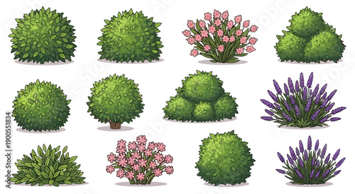 Collection of Diverse Green Bushes, Flowering Plants, and Lavender Bushes