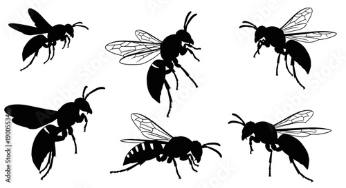 Vector silhouette illustrations of wasps in various poses, flying, hovering and resting.