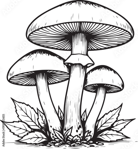 vector illustration of a set of icons