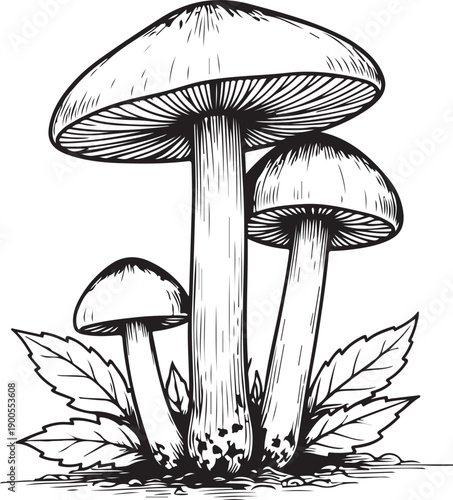 vector illustration of a set of icons