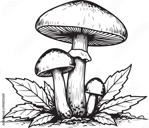 vector illustration of a set of icons