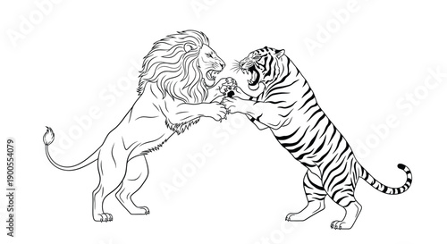 Ferocious black and white outline drawing depicts a powerful lion and striped tiger engaged in a dramatic rearing combat stance