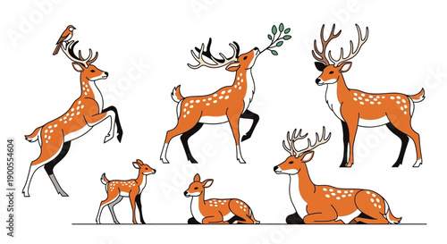 Collection of Stylized Deer and Fawn Illustrations in Various Poses on White