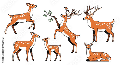 Collection of Stylized Deer and Fawns in Various Poses on White Background
