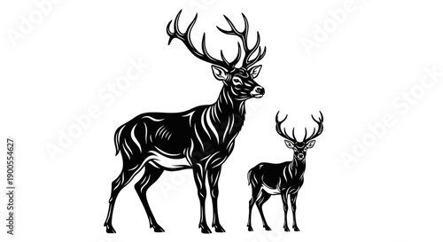 Elegant Stag and Fawn Silhouette in Black and White, Majestic Deer Pair Illustration
