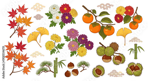 Vibrant Japanese Autumn Nature Collection Maple Leaves, Golden Ginkgo, Chrysanthemums, Ripe Persimmons, and Rustic Chestnuts for Seasonal Designs