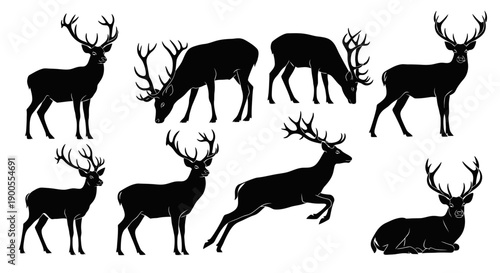 Collection of Majestic Deer Silhouettes in Various Poses on a White Background