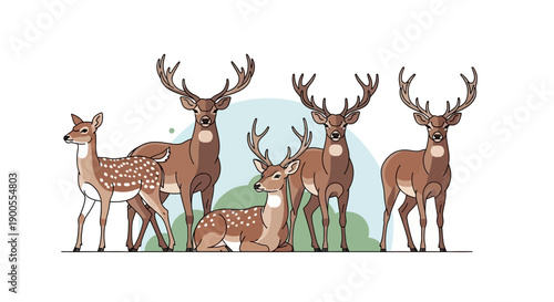 Collection of Stylized Deer and Fawns, Naturalistic Illustration with Floral Elements
