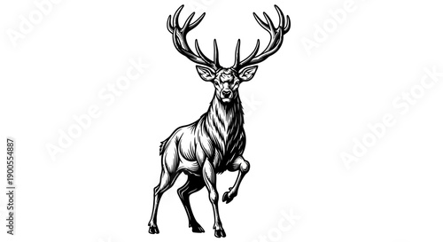 Wallpaper Mural Majestic Stag with Large Antlers Standing Proudly, Black and White Drawing Torontodigital.ca