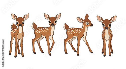 Cute Fawn Deer with White Spots Standing and Posing in Studio, Vector Illustration