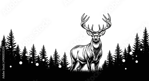 Majestic Stag with Antlers Stands Tall in a Dark Pine Forest Landscape