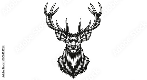 Majestic Stag Head with Elaborate Antlers, Detailed Monochrome Illustration, Powerful Wildlife Art