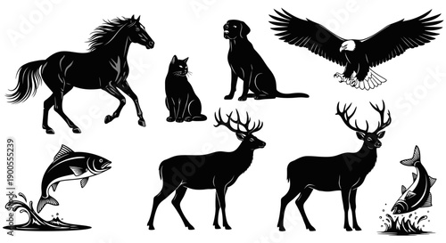 Collection of Black Silhouette Animals and Fish for Design